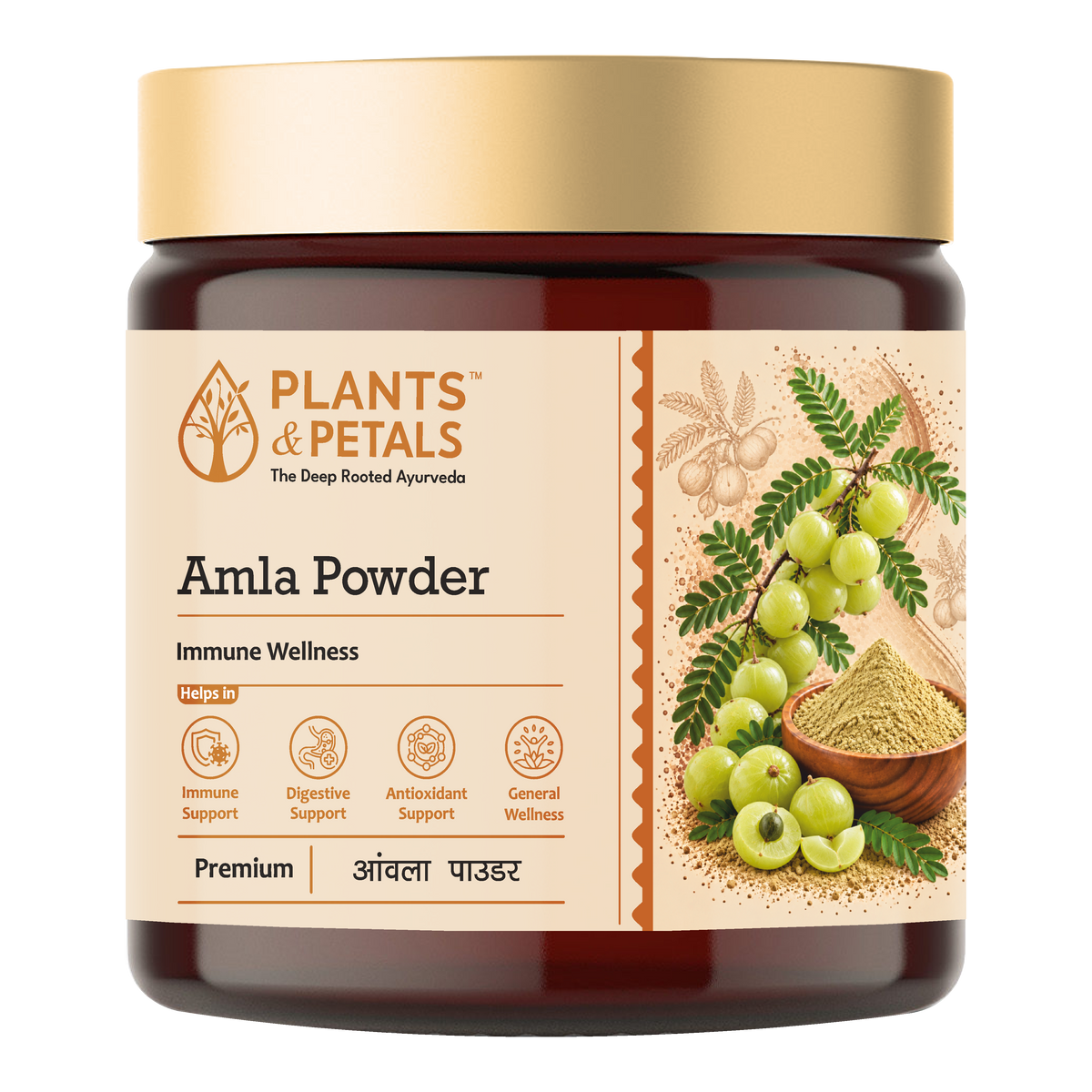 Amla Powder
