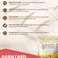 Barnyard Millet
