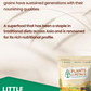 Little Millet