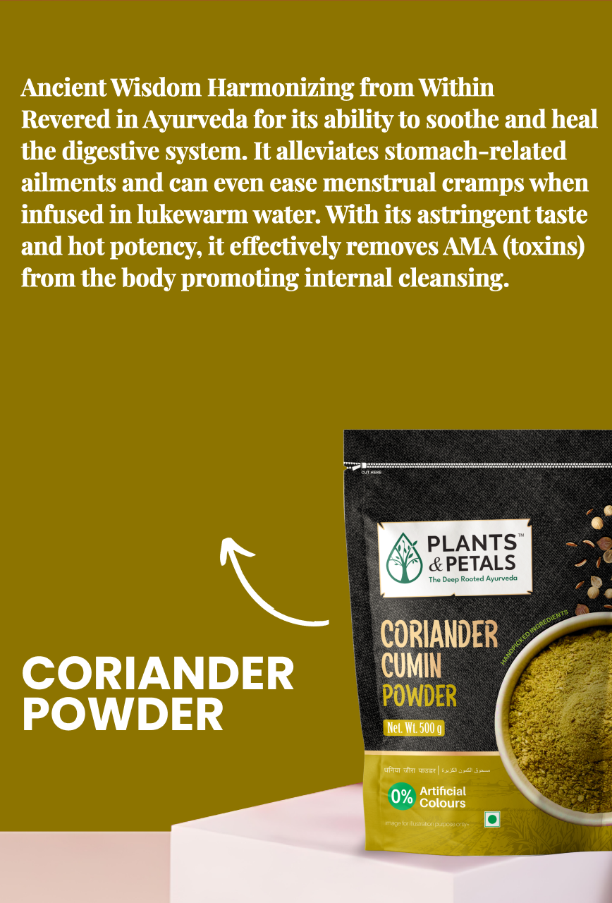 Coriander Cumin Powder