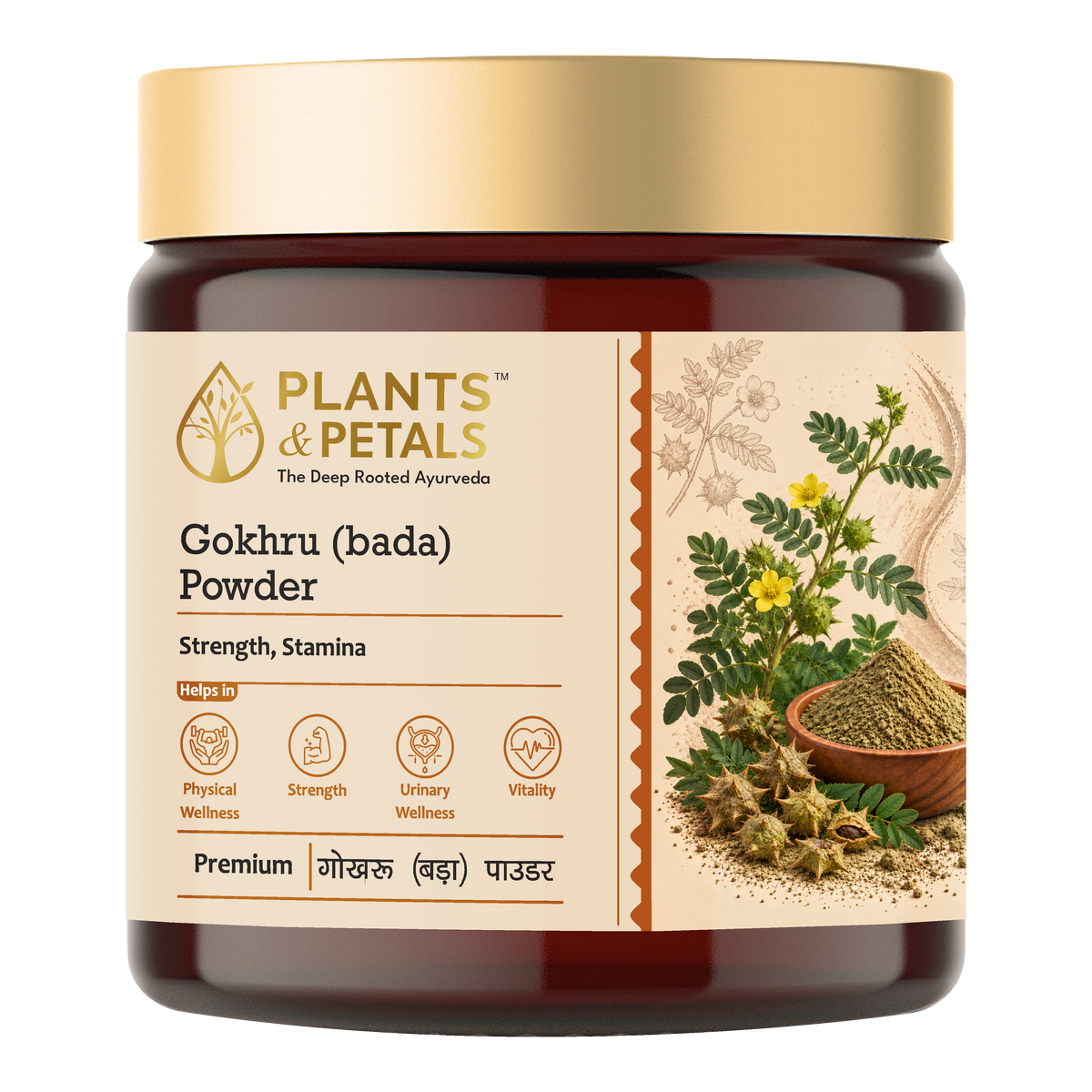 Gokhru Bada Powder
