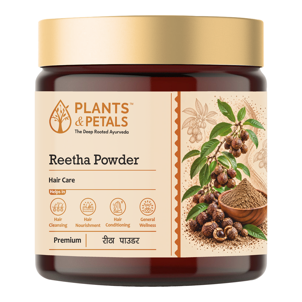 Reetha Powder