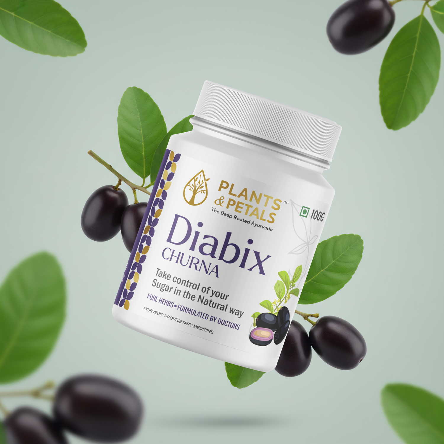 Diabix Churna