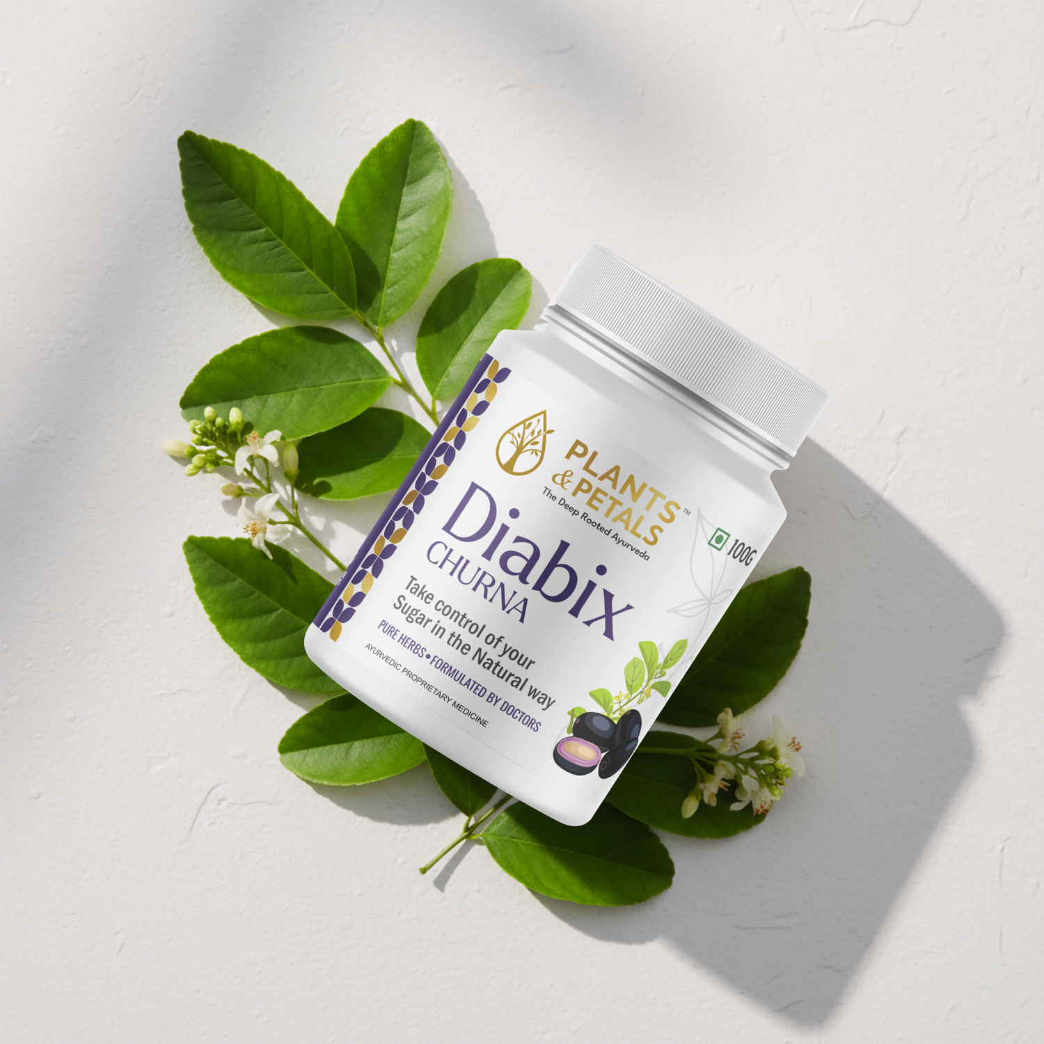 Diabix Churna